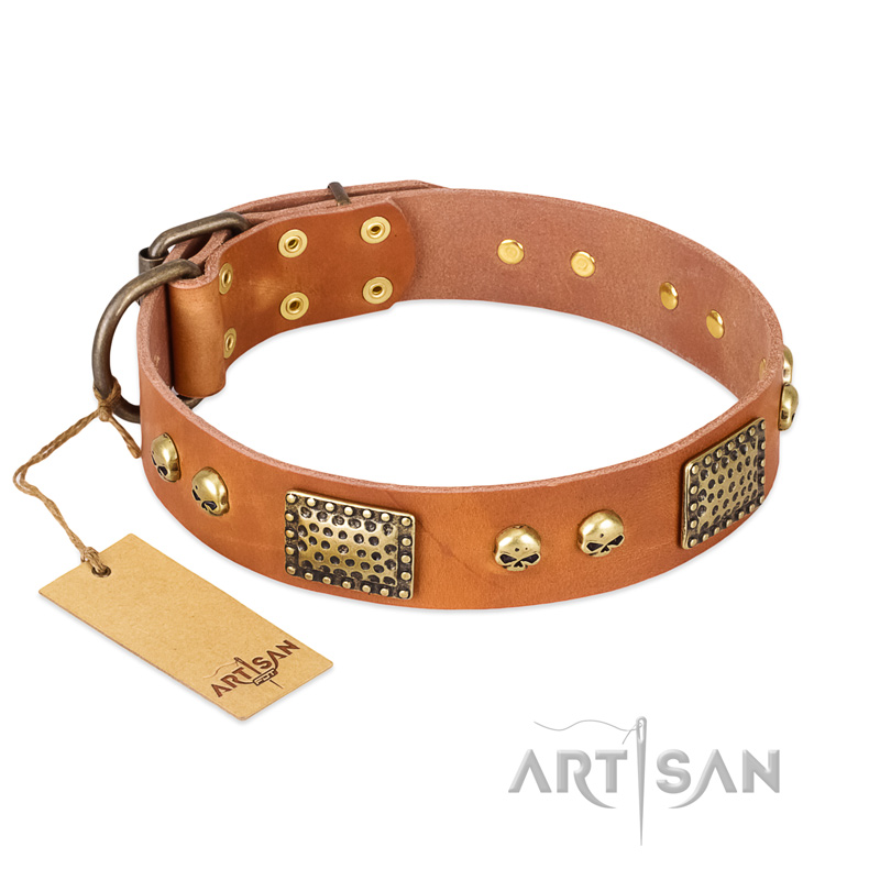 "Saucy Nature" FDT Artisan Tan Leather Labrador Collar with Old Bronze Look Plates and Skulls - Click Image to Close