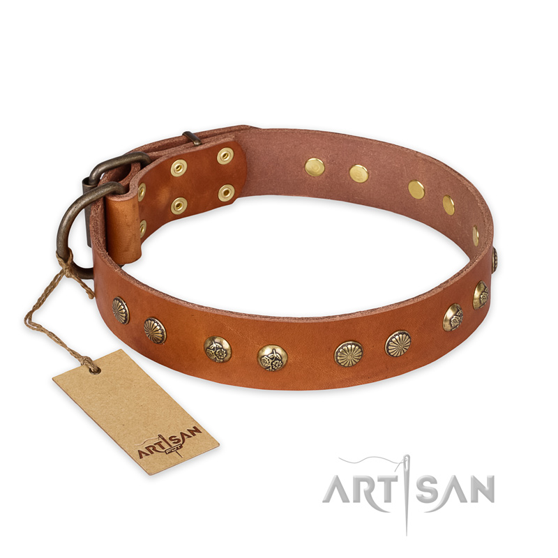"Spring Flavor" FDT Artisan Adorned Leather Labrador Collar with Old Bronze-Plated Engraved Studs