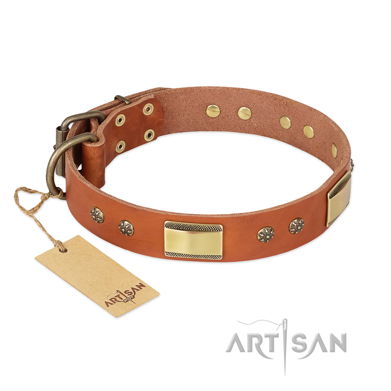 "Enchanting Spectacle" FDT Artisan Tan Leather Labrador Collar with Old Bronze Look Plates and Round Studs