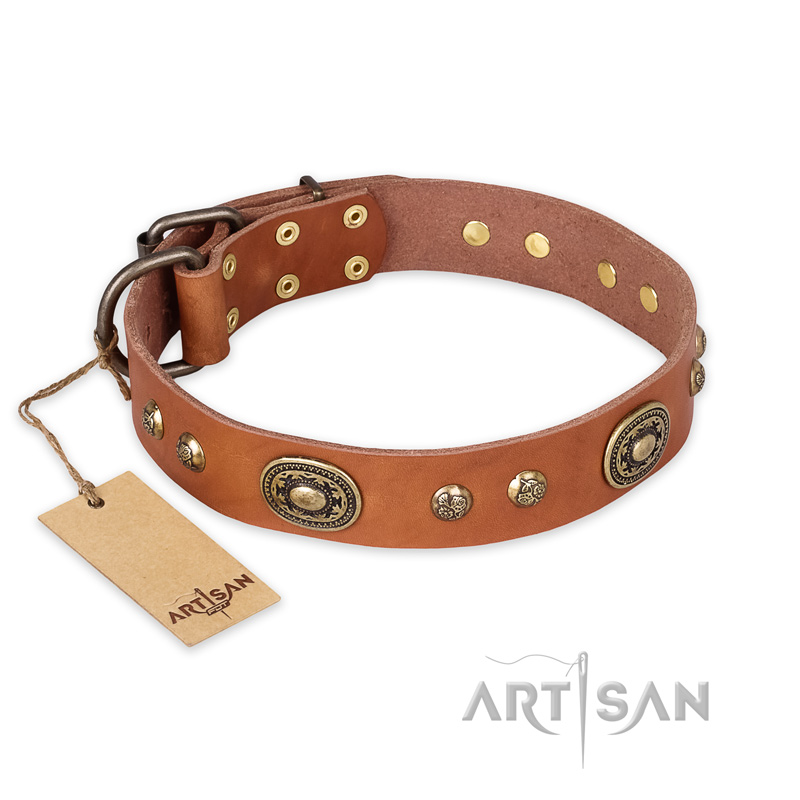 "Stunning Dress" FDT Artisan Tan Leather Labrador Collar with Old Bronze Look Plates and Studs