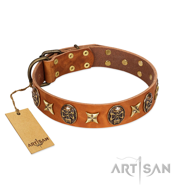 "Rockin' Doggie" FDT Artisan Tan Leather Labrador Collar Adorned with Stars and Skulls
