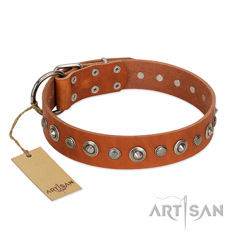 "Gorgeous Roundie" FDT Artisan Tan Leather Labrador Collar with Chrome-plated Circles
