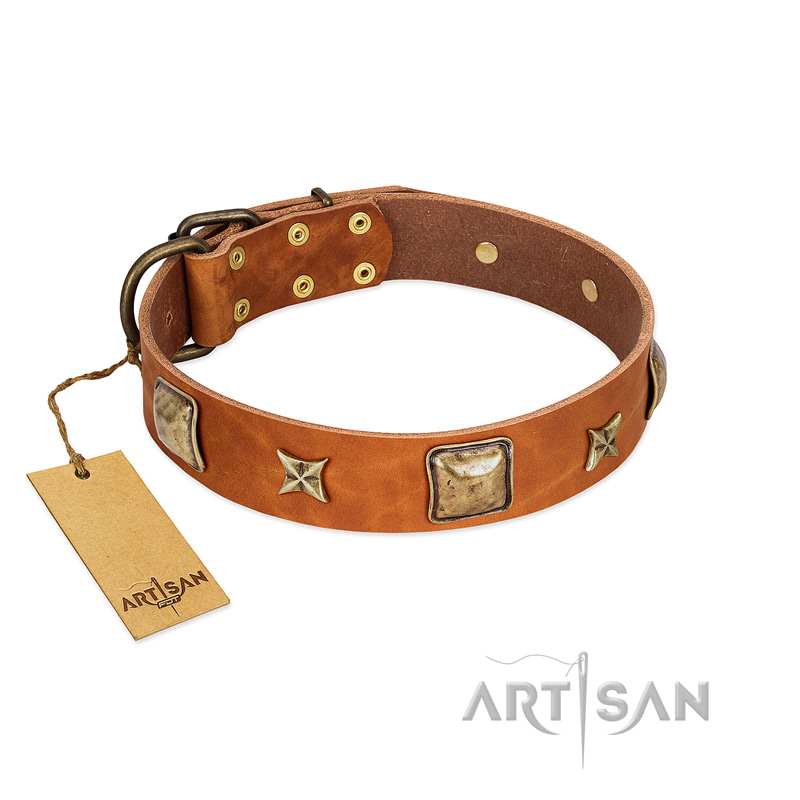 "Celtic Tunes" FDT Artisan Tan Leather Labrador Collar Adorned with Stars and Squares