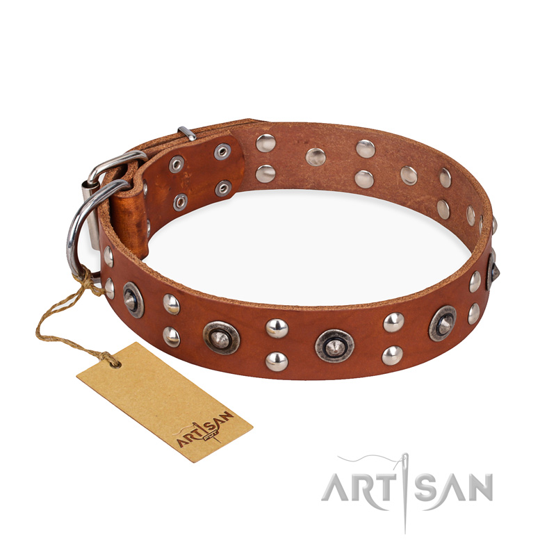 "Silver Elegance" FDT Artisan Decorated Leather Labrador Collar with Old Silver-Like Plated Studs and Cones