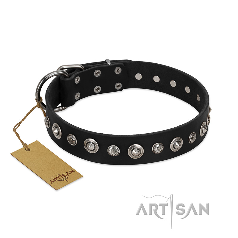 "Genteel Charm" FDT Artisan Black Leather Labrador Collar with Silver-like Round Conchos