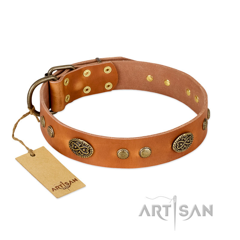 "Sun Beams" FDT Artisan Tan Leather Labrador Collar with Decorations