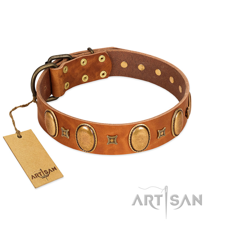 "Glossy Autumn" Designer Handmade FDT Artisan Tan Leather Labrador Collar with Ovals and Studs