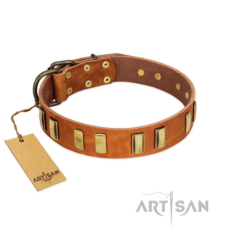 "Olive Slice" FDT Artisan Tan Leather Labrador Collar with Engraved and Smooth Plates - Click Image to Close