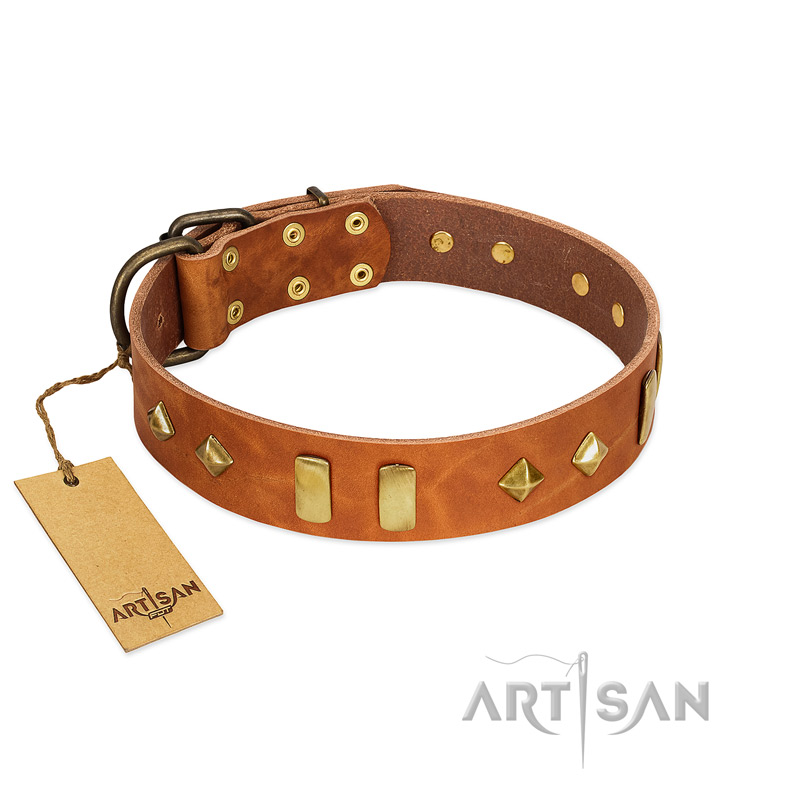 "Woofy Dawn" FDT Artisan Tan Leather Labrador Collar with Plates and Rhombs