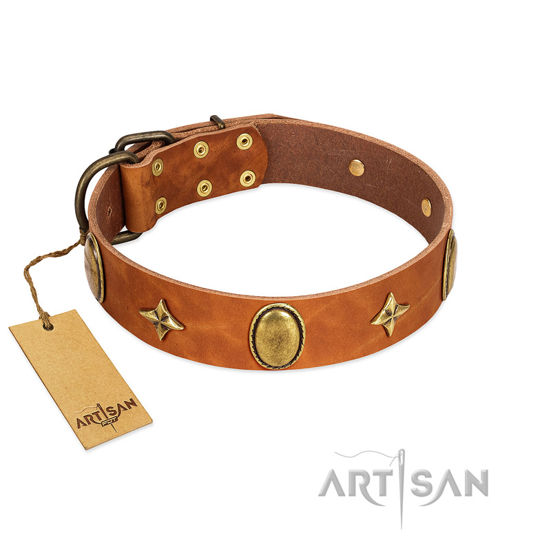 "Space Warrior" FDT Artisan Tan Leather Labrador Collar with Ovals and Stars