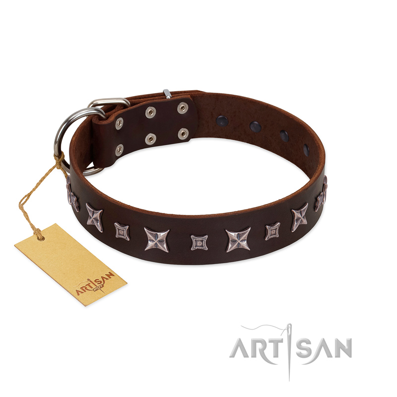 "Stellar Fairy " FDT Artisan Brown Leather Labrador Collar with Chrome-plated Star-like Decorations