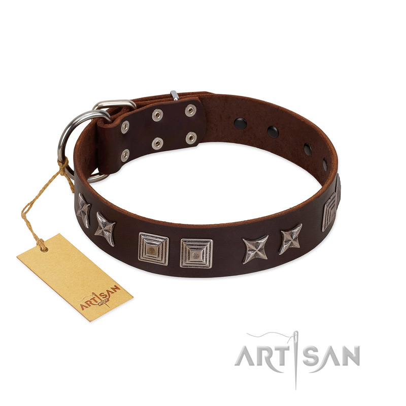 "Needle Stories" Modern FDT Artisan Brown Leather Labrador Collar with Square Engraved Plates and Four-Point Stars