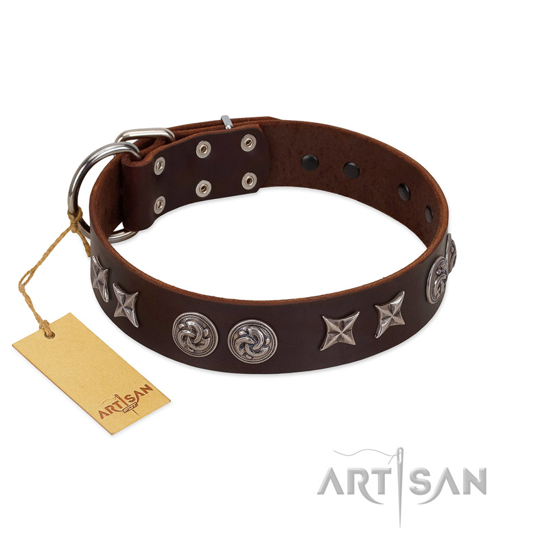 "Silver Sunset" Designer Handmade FDT Artisan Brown Leather Labrador Collar