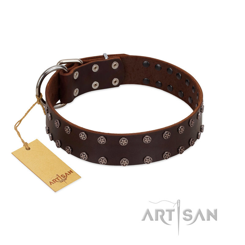 "Star Party" Handmade FDT Artisan Brown Leather Labrador Collar with Silver-Like Studs - Click Image to Close