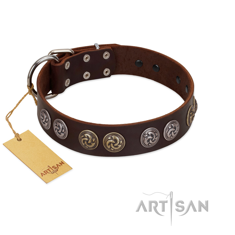 "Treasure Hunter" FDT Artisan Brown Leather Labrador Collar with Old-Bronze-like and Silvery Medallions - Click Image to Close