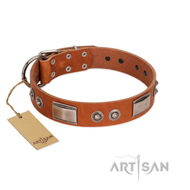 "Pawsy Glossy" FDT Artisan Exclusive Tan Leather Labrador Collar 1 1/2 inch (40 mm) wide