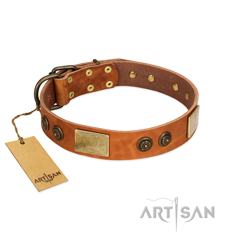 "Bronze Century" FDT Artisan Tan Leather Labrador Collar with Plates and Brooches with Cool Ornament