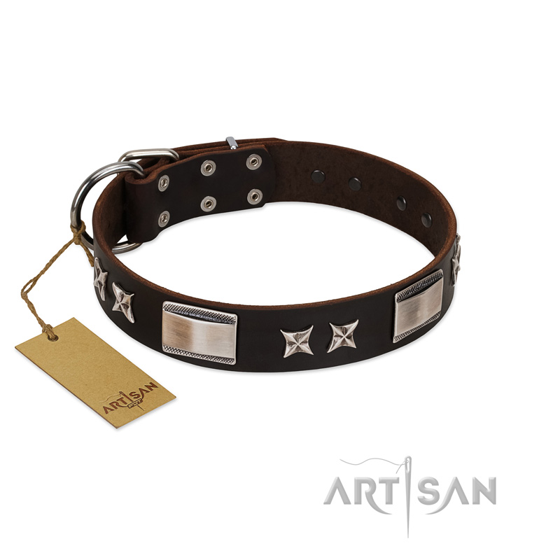 "Satin Beauts" FDT Artisan Brown Leather Labrador Collar with Stars and Plates