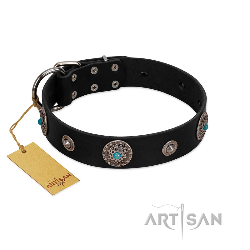 "Blue Gems" FDT Artisan Black Leather Labrador Collar with Chrome Plated Studs and Conchos