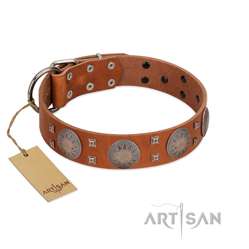 "Sun Rise Noon" FDT Artisan Tan Leather Labrador Collar with Unique Design