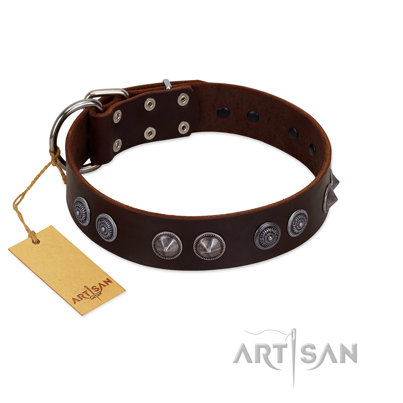 "King Arthur" FDT Artisan Brown Leather Labrador Collar with Spiky Plates