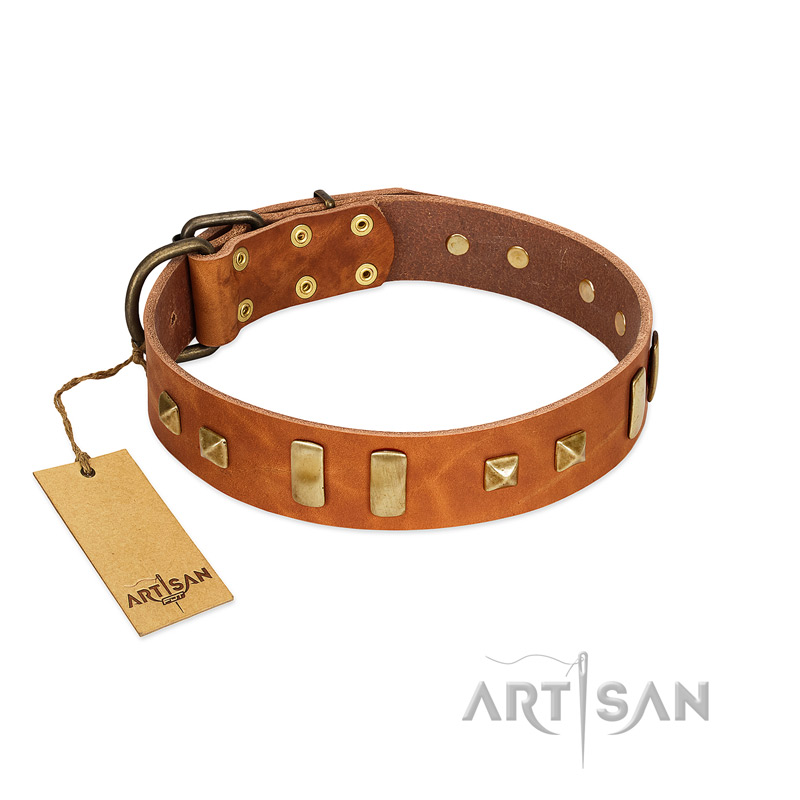 "Sand of Time" FDT Artisan Tan Leather Labrador Collar with Old Bronze-like Studs and Plates