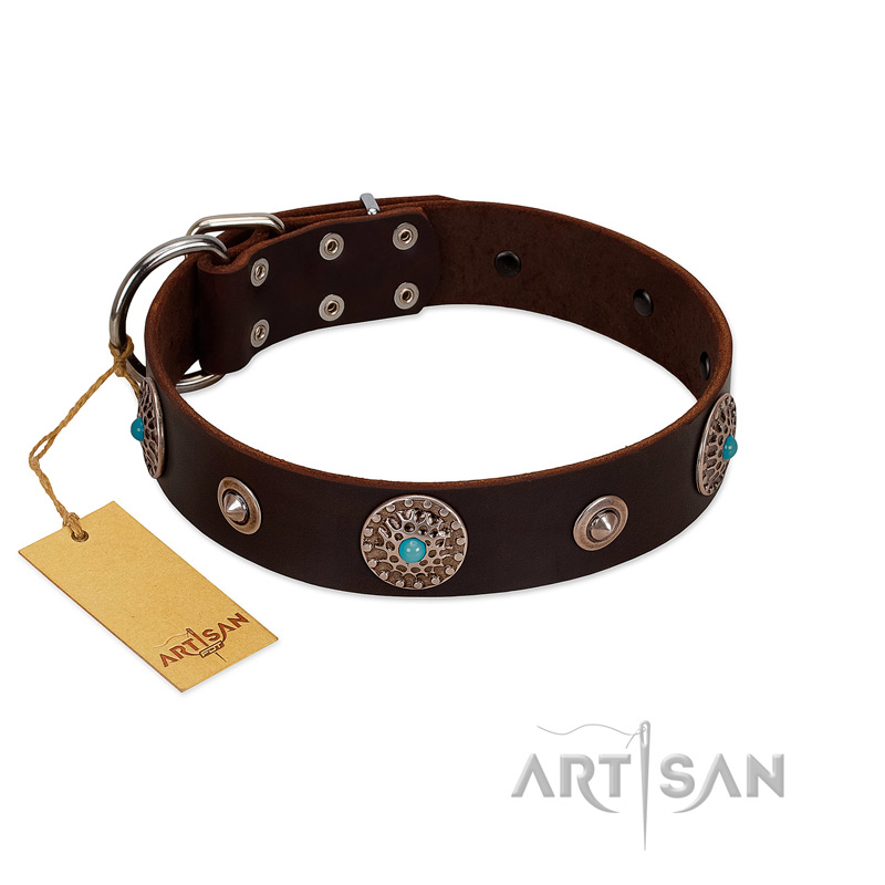 "Magic Stones" FDT Artisan Brown Leather Labrador Collar with Chrome Plated Brooches and Studs