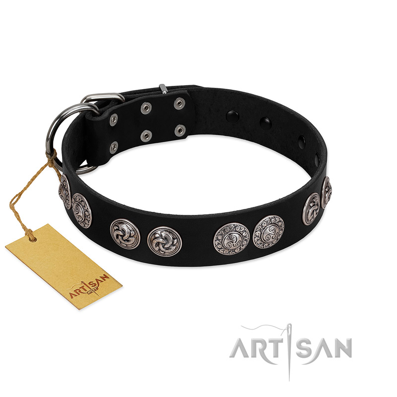 "Magic Amulete" Handcrafted FDT Artisan Black Leather Labrador Collar with Chrome-Plated Shields
