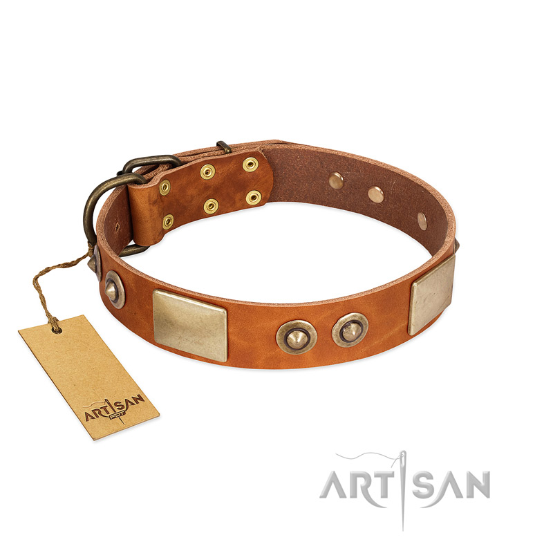 "Perfect Blend" FDT Artisan Tan Leather Labrador Collar 1 1/2 inch (40 mm) wide