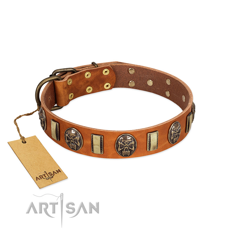 "Strike of Rock" FDT Artisan Tan Leather Labrador Collar with Plates and Medallions with Skulls