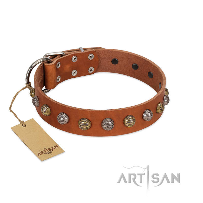 "Dogue-Vogue" FDT Artisan Tan Leather Labrador Collar with Engraved Chrome-plated Studs