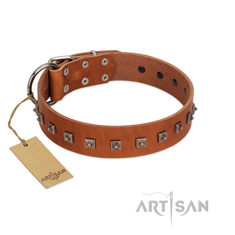 "Guard of Honour " Designer FDT Artisan Tan Leather Labrador Collar with Small Dotted Pyramids