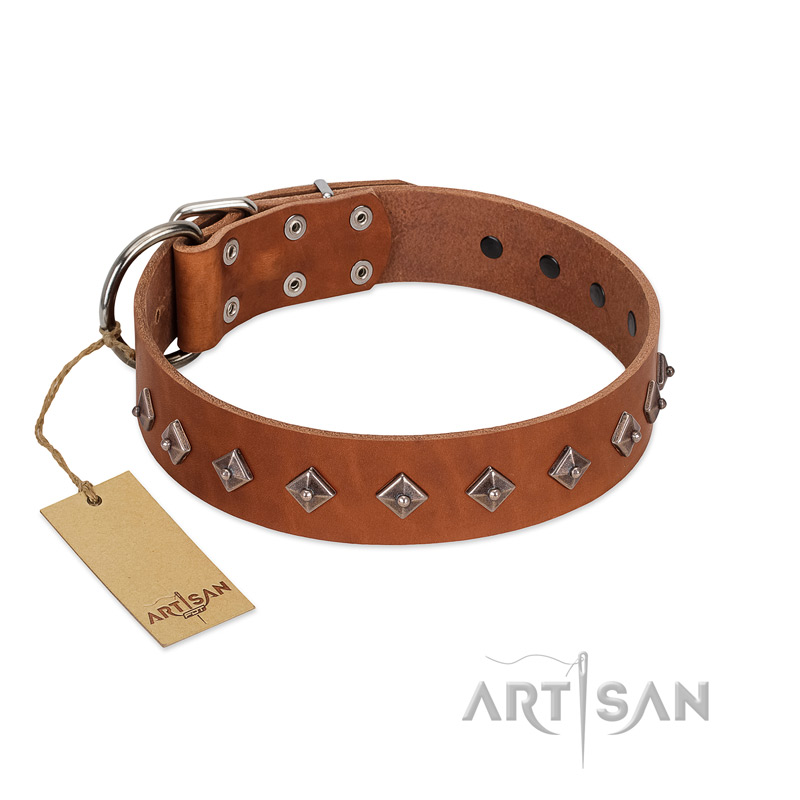 "Broadway" Handmade FDT Artisan Tan Leather Labrador Collar with Dotted Pyramids