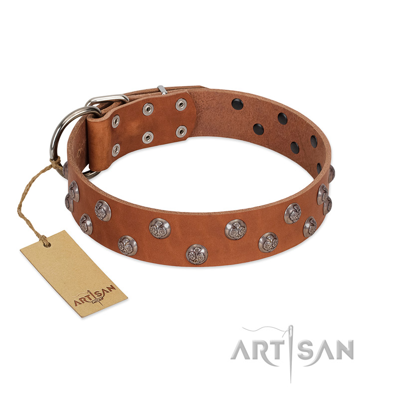 "Waltz of the Flowers" Handmade FDT Artisan Tan Leather Labrador Collar with Chrome-plated Engraved Studs