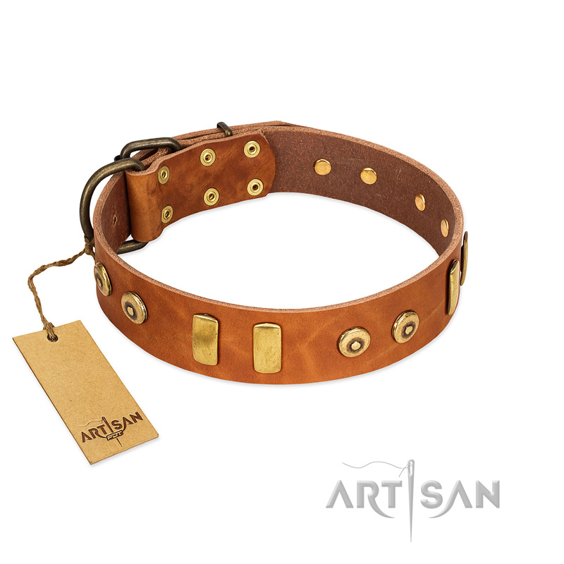 "Egyptian Script" FDT Artisan Tan Leather Labrador Collar with Plates and Small Studs