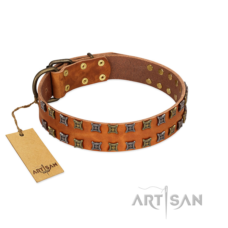 "Terra-cotta" FDT Artisan Tan Leather Labrador Collar with Two Rows of Studs