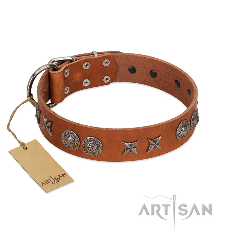 "Splendid Armor" Premium Quality FDT Artisan Tan Designer Labrador Collar with Shields and Stars