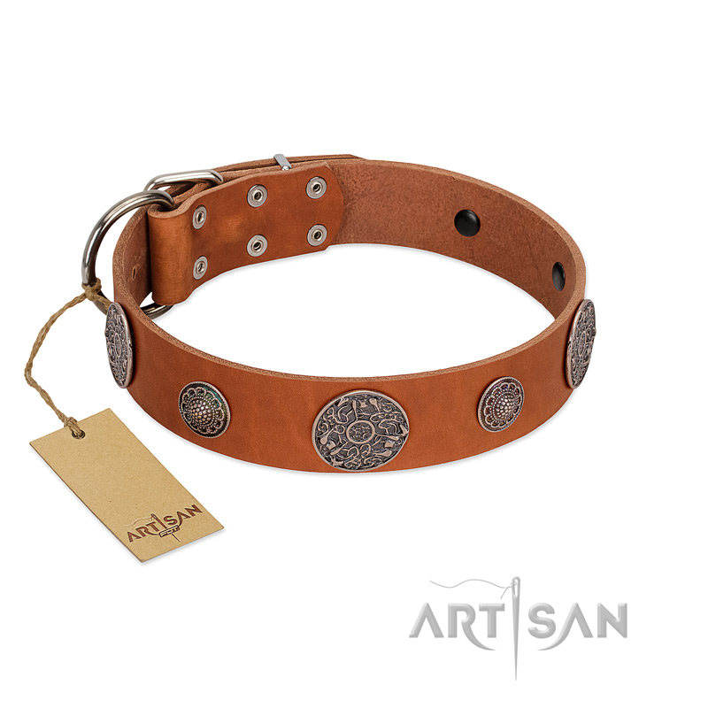 "Foxy Nature" FDT Artisan Tan Leather Labrador Collar with Chrome Plated Brooches