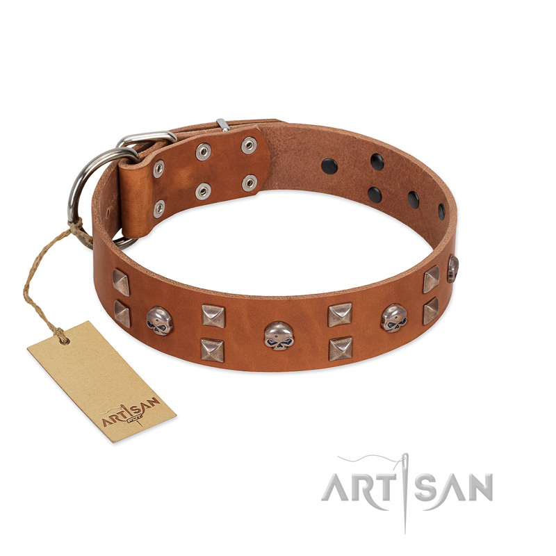"Enchanted Skulls" FDT Artisan Tan Leather Labrador Collar with Chrome Plated Skulls
