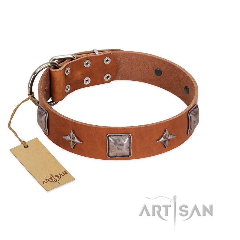 "Lucky Star" FDT Artisan Tan Leather Labrador Collar with Silver-Like Embellishments