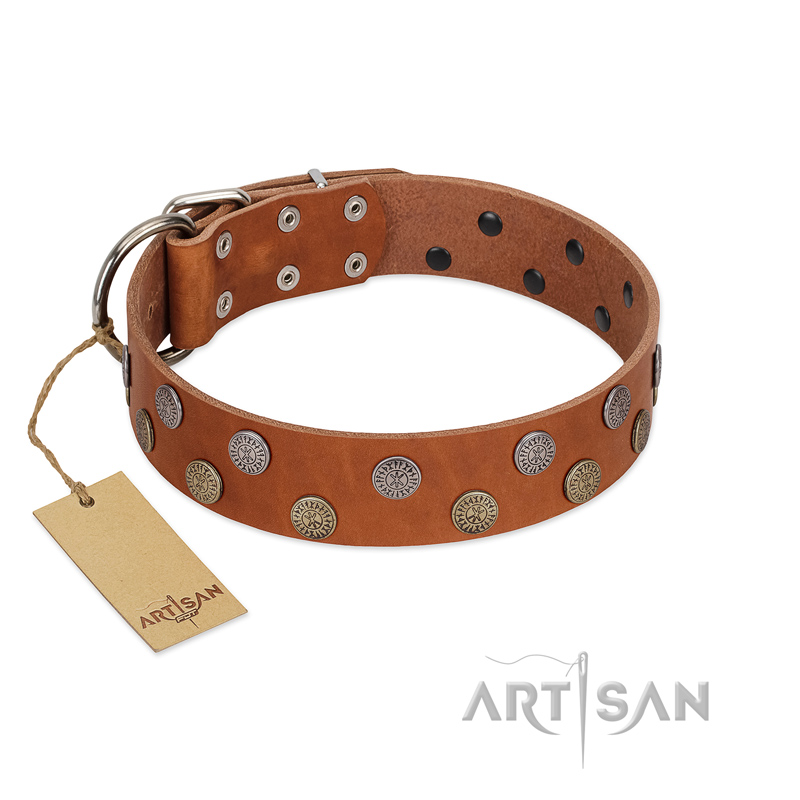 "Ancient Symbol" Trendy FDT Artisan Tan Leather Labrador Collar with Silver- and Gold-Like Studs - Click Image to Close