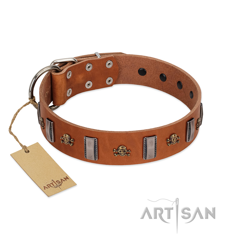 "Golden Crossbones" Handmade FDT Artisan Tan Leather Labrador Collar with Plates and Skulls