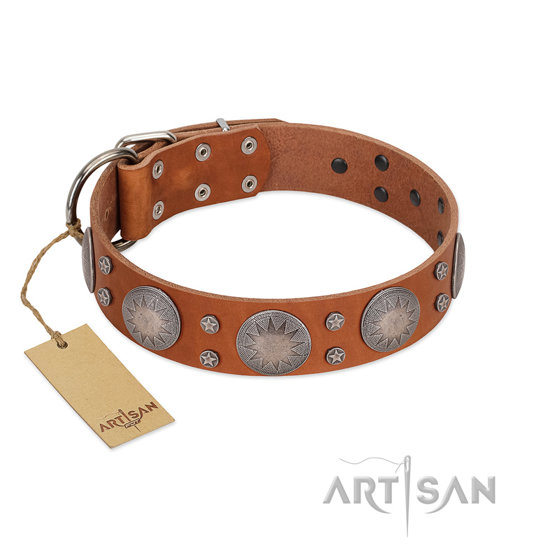 "Far Star" FDT Artisan Tan Leather Labrador Collar with Engraved Studs