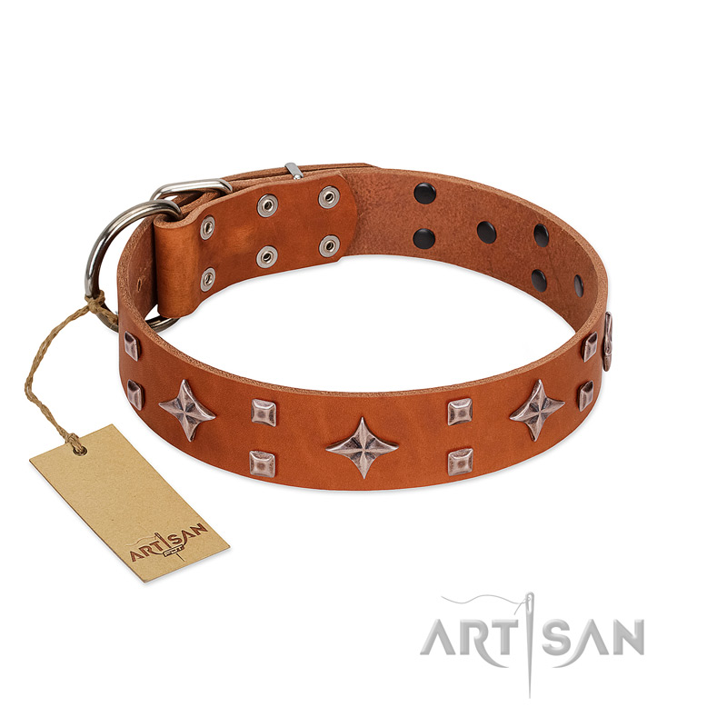"Tawny Beauty" FDT Artisan Tan Leather Labrador Collar Adorned with Stars and Tiny Squares