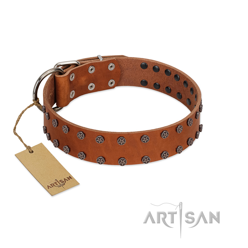 "Star Light" Stylish FDT Artisan Tan Leather Labrador Collar with Silver-Like Studs