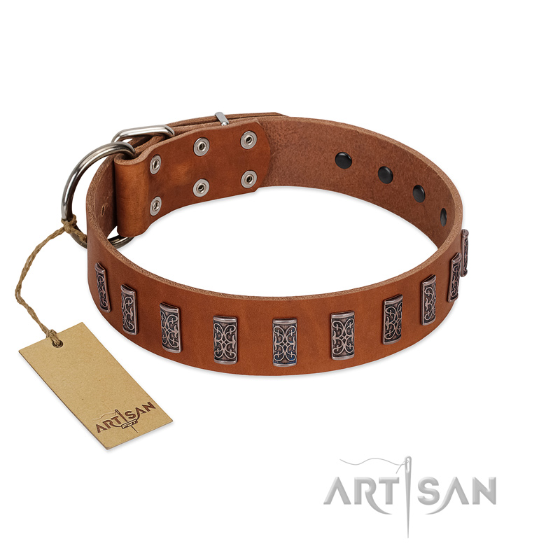 "Silver Century" Fashionable FDT Artisan Tan Leather Labrador Collar with Silver-Like Plates