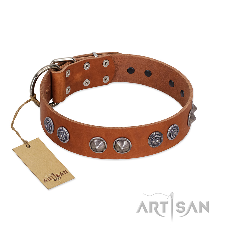 "Silver Necklace" Incredible FDT Artisan Tan Leather Labrador Colar with Silver-Like Adornments