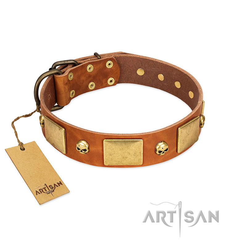 "Mutt The Daredevil" FDT Artisan Tan Leather Labrador Collar with Old Bronze-like Skulls and Plates