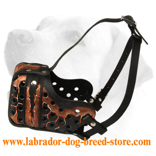 Trendy Leather Labrador Muzzle for Training 