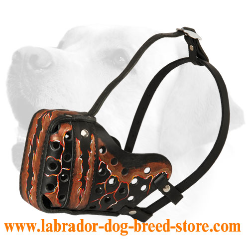 Handpainted Leather Dog Muzzle for Labrador